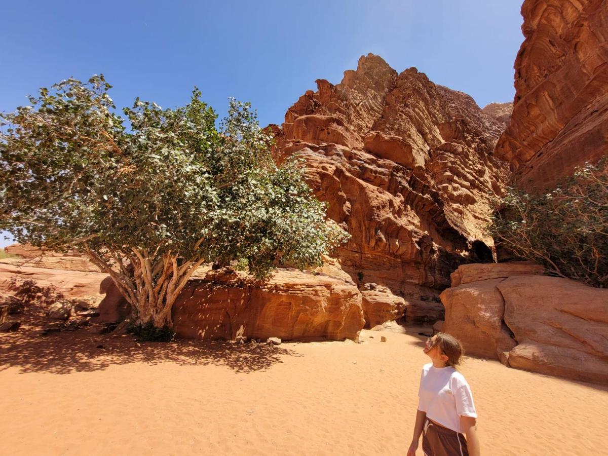 Moon City Camp Wadi Rum Buitenkant foto